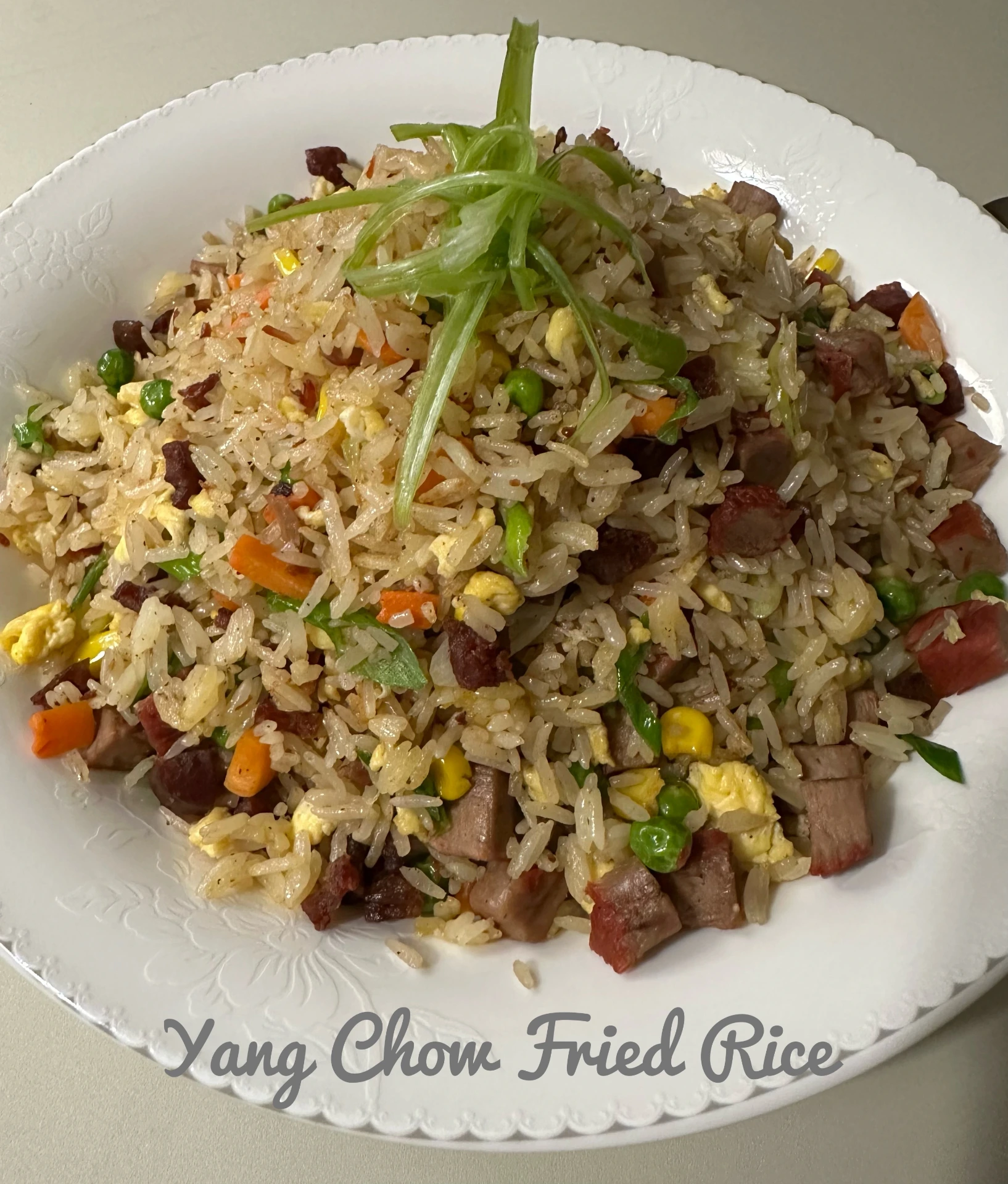 [FR-006] 🥘Yang Chow Fried Rice