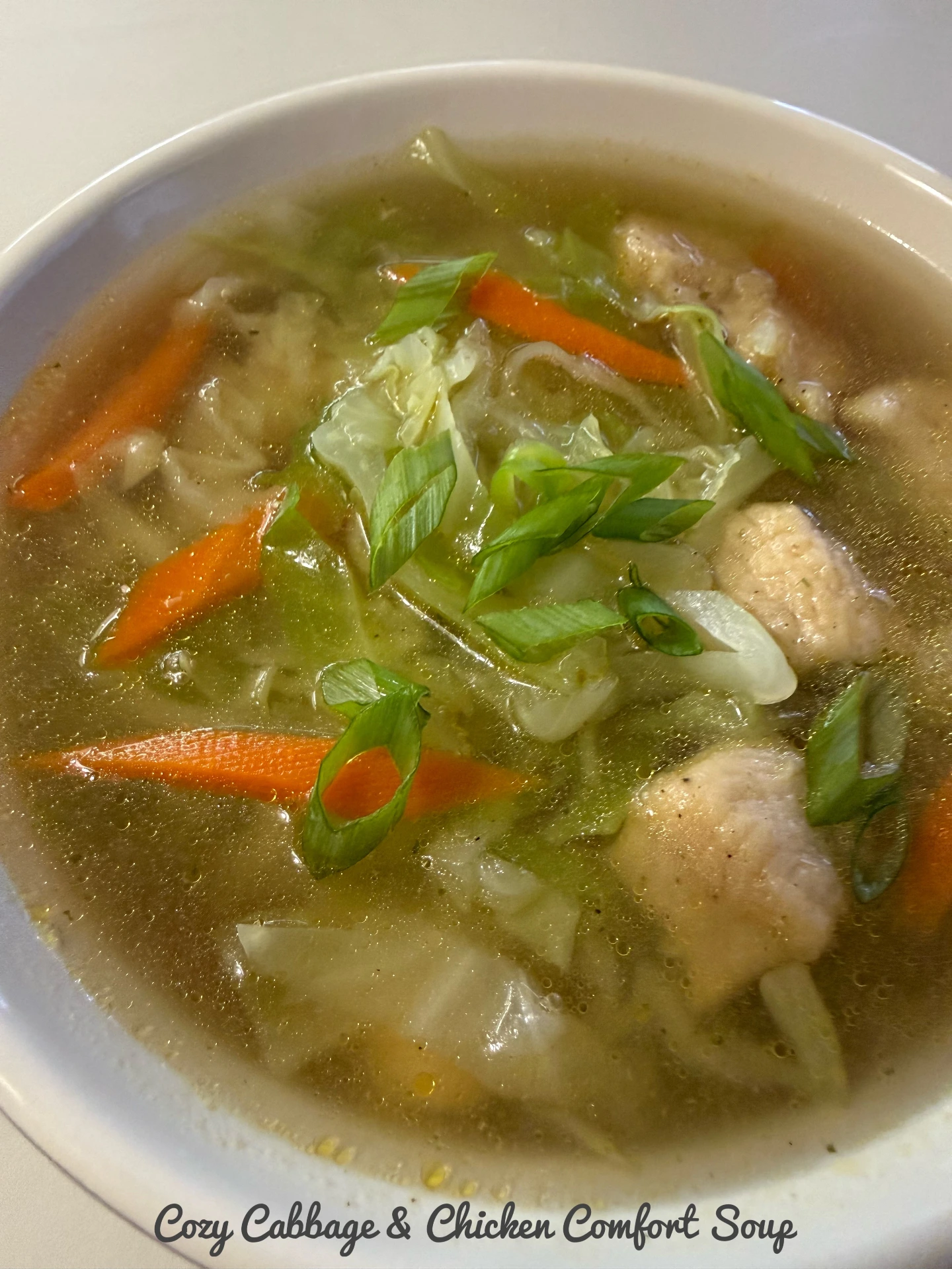 🍜Cozy Cabbage & Chicken Comfort Soup (Small (12 oz))